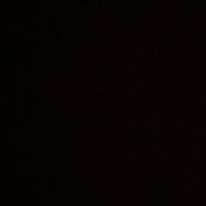 Meet your Posher, Lyla